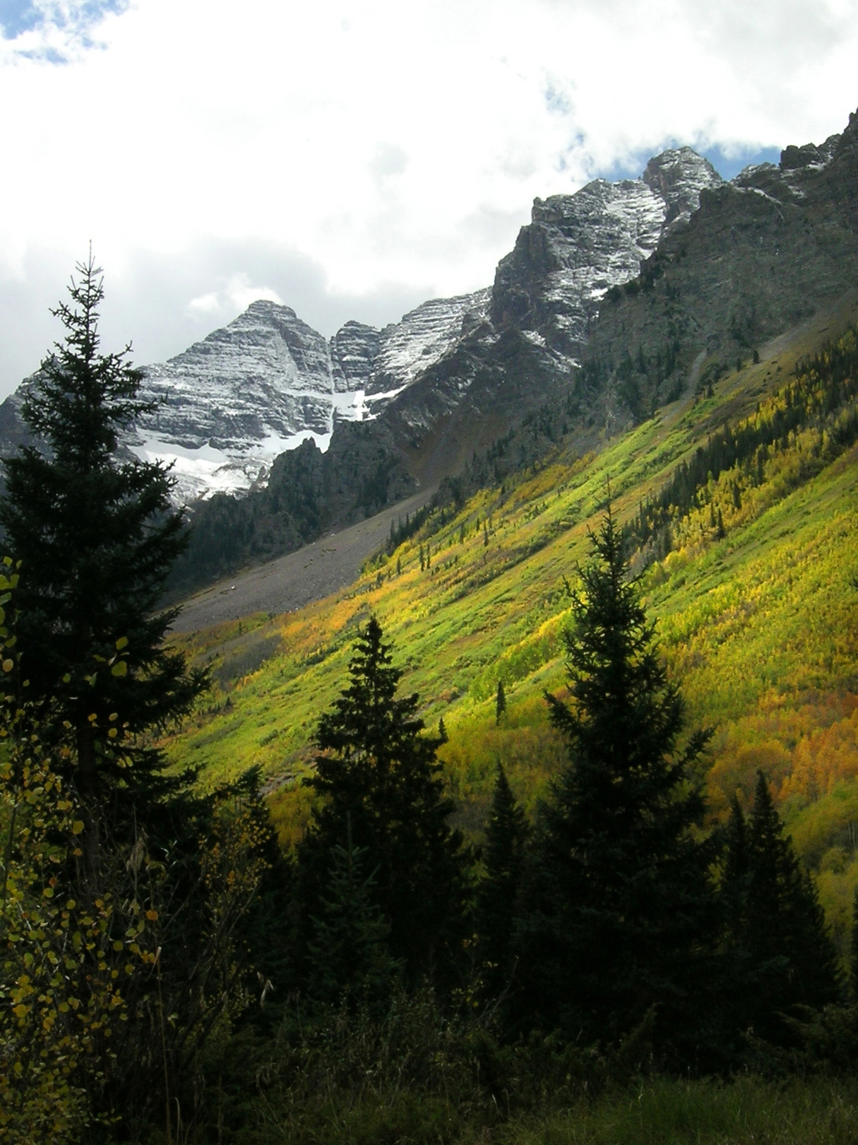 Image module